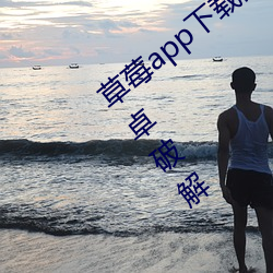 ca88手机客户端(安卓/苹果)CA88会员登录入口