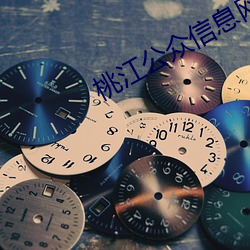 桃江公众信息网