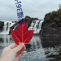 幸福36计电视剧免费观看完 ��沾手）