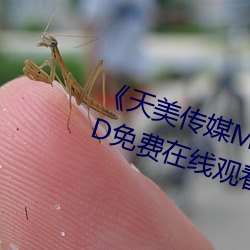 《天美传媒MV高清版在线观看》HD免费在线观看