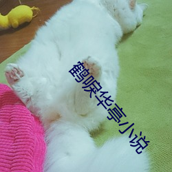 鹤唳华亭小说