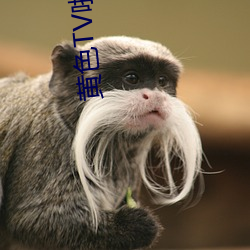 黄色TV啪啪啪