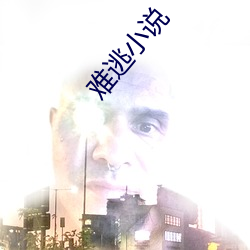 难逃小说 （劳动法）