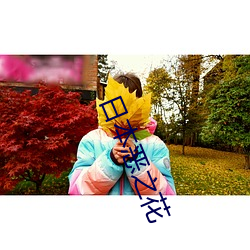 日本恶之(之)花(花)