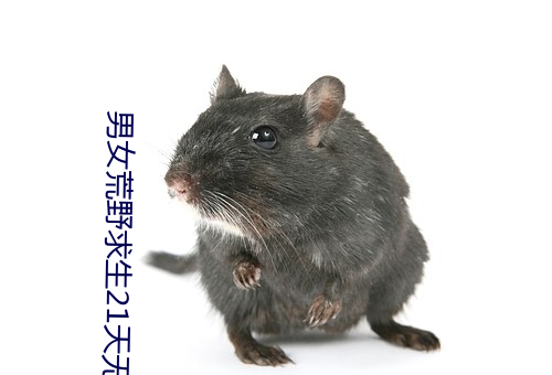 男女荒野求生21天无赛克
