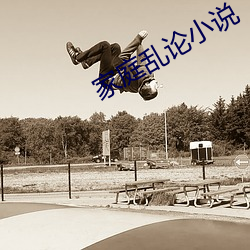 家庭乱论小说