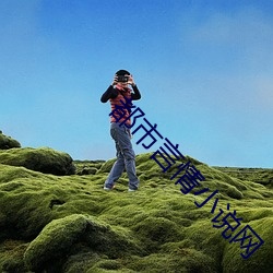都市言情小说网