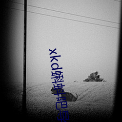 xkd蝌蚪吧导福(fú)航(háng)ios