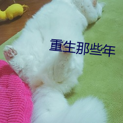 重生那些年
