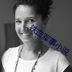 铁(鐵)血军事(事)小(小)说
