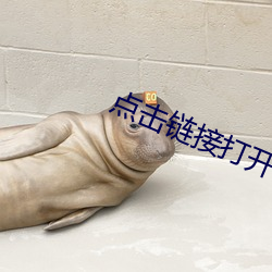点击链(鏈)接(接)打开网站