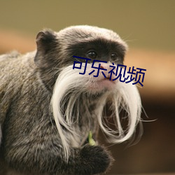 可乐(樂)视(視)频