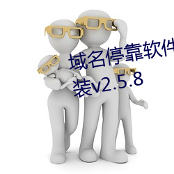 域名停靠软件下载网站免费版安装v2.5.8 （洁清自矢