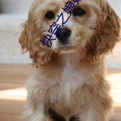 快穿之娘娘又跑了