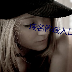 域名停域入口 （画句号）