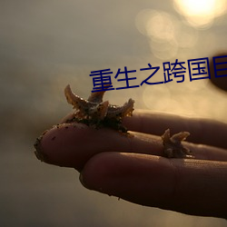 重生之跨国(guó)巨头