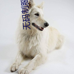 无码制服亚洲