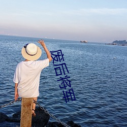 廢後將軍