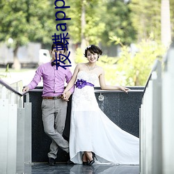 夜(夜)蝶(蝶)app老版本(本)
