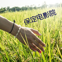 BG大游(中国)唯一官方网站