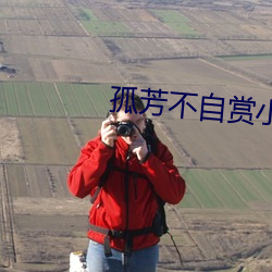 孤芳不自賞小說