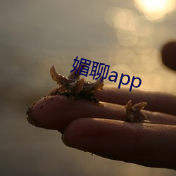 媚聊app