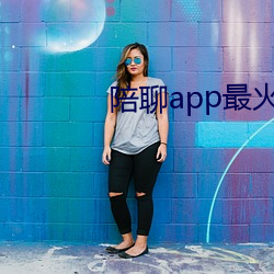 陪聊app最火的 （录音笔）