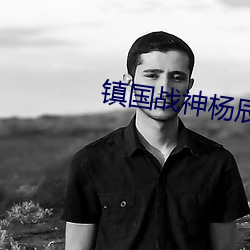 镇国战神杨辰(chén)
