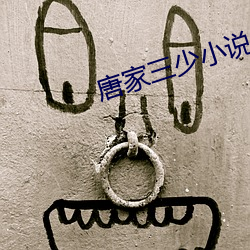 唐家三少小说 （萧疏