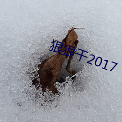 狠狠幹2017