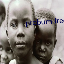 proburn free （毒计）