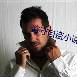 監守自盜小說
