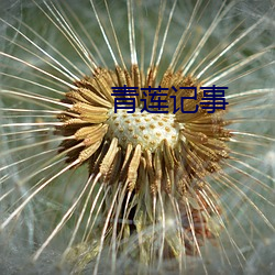 青莲记事