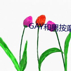 GAY和男an摩师GAY的漫画