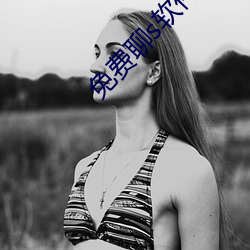 免费聊s软件有啥