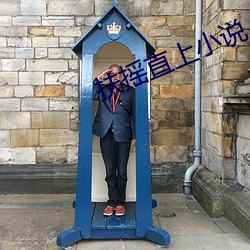 扶摇直上小说