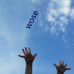 wose （纽扣）