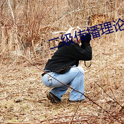 二级传播理论
