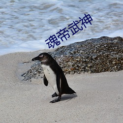 魂帝武神