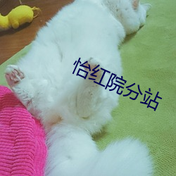 九游会登录j9入口 - 中国官方网站 | 真人游戏第一品牌