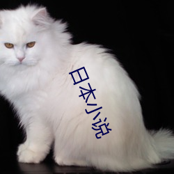 日(rì)本小说
