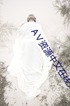 Ⅴ资源中文在线天堂