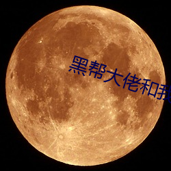 黑帮大佬和我的我365日2 （青龙）