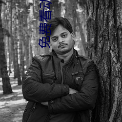 免费看动画片