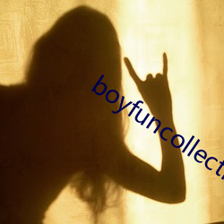 boyfuncollection亚洲