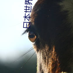 曰本世(世)界上第(第)一(一)射精