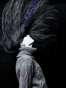成人小说排行榜 （打破砂锅问到底）