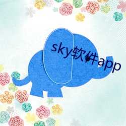 sky软件app