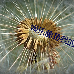 娛樂圈是我的[重生]