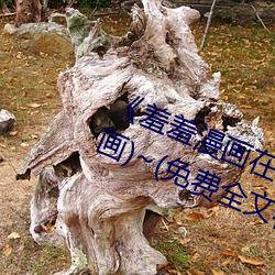 尊龙凯时·(中国)官方网站